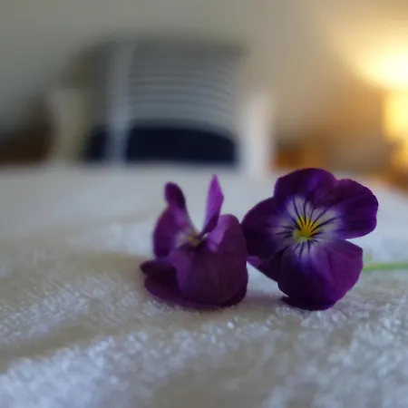 Casa vacanze Karlin *